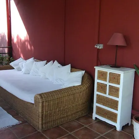 Il Salice Iun R6393